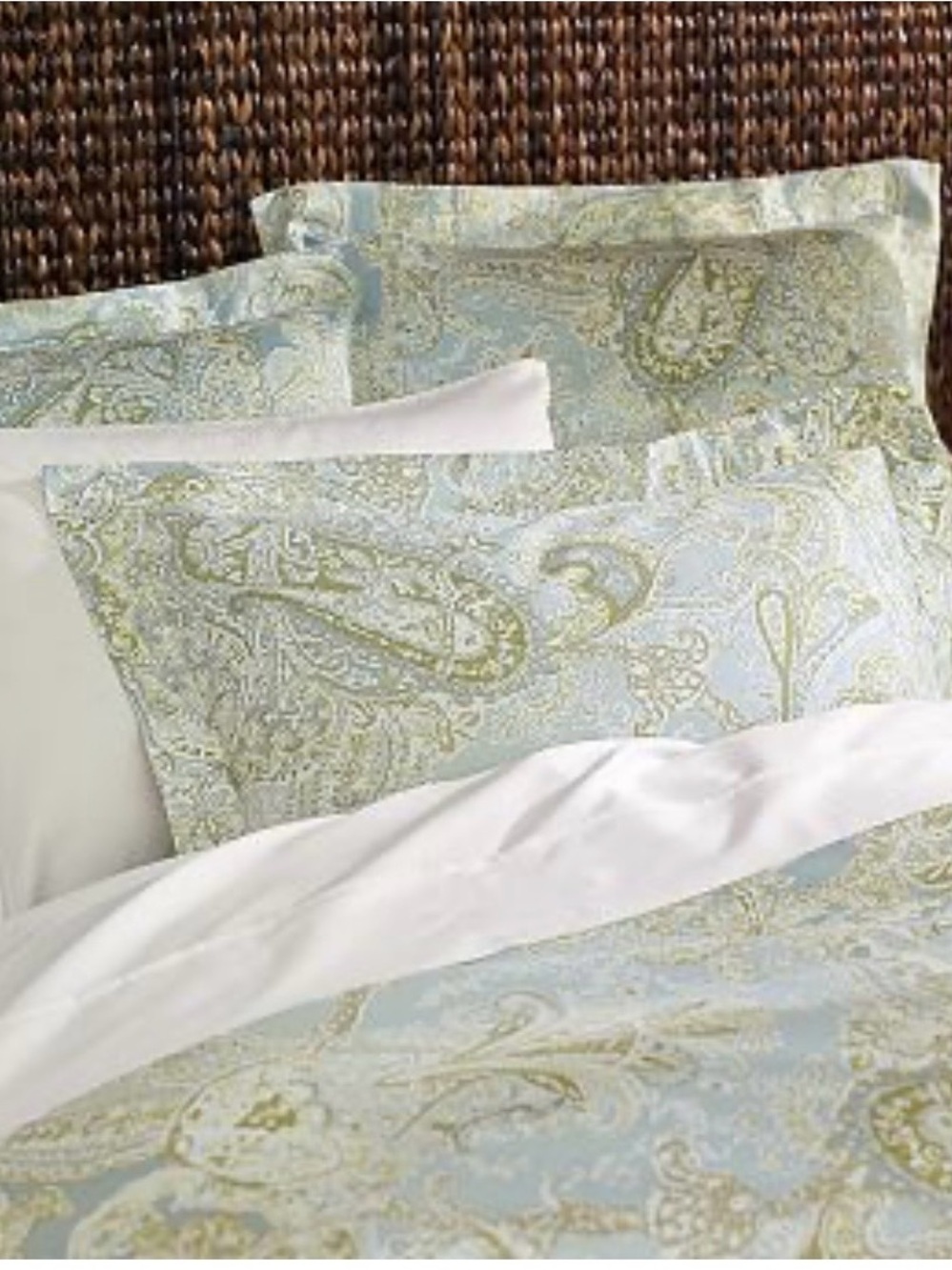 Pottery Barn Sienna Paisley Queen Duvet & 2 Euro Shams